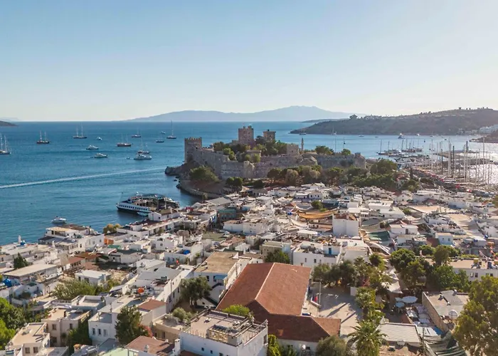 Homestay Casa Roma Boutique *