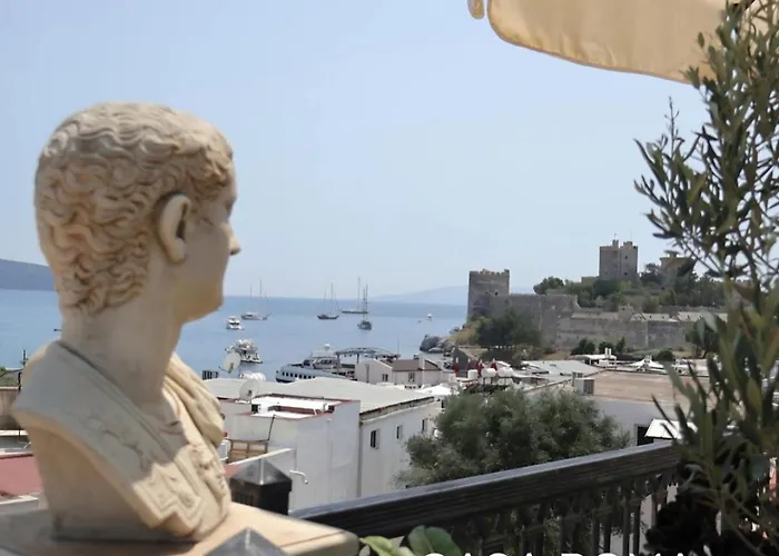 Homestay Casa Roma Boutique