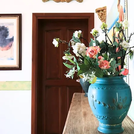 Casa Roma Boutique 民宿 博德鲁姆